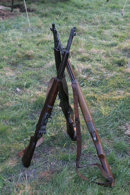 img00007.jpg